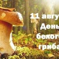 Umw6G7tsGEDuwOgdHI1LF1CPxE5XzGufX3UubmRhgORZAG37lP2WcHvlxRg4M-6i-gxWOqEBdqj_rzQ8FBQ_2R3t