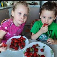 Screenshot_20260410-210816